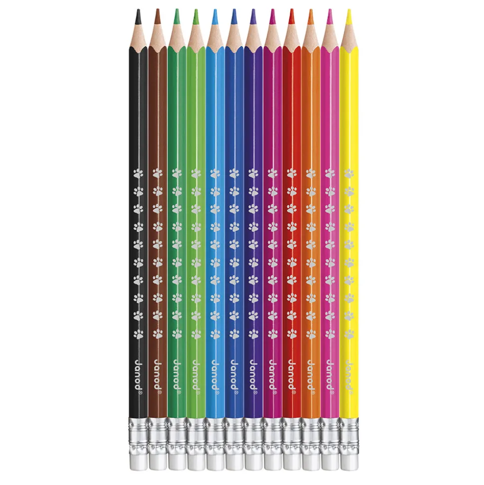 Crayons Effaçables x12