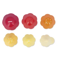 Jouet de Bain Bernard & Sa Coquille